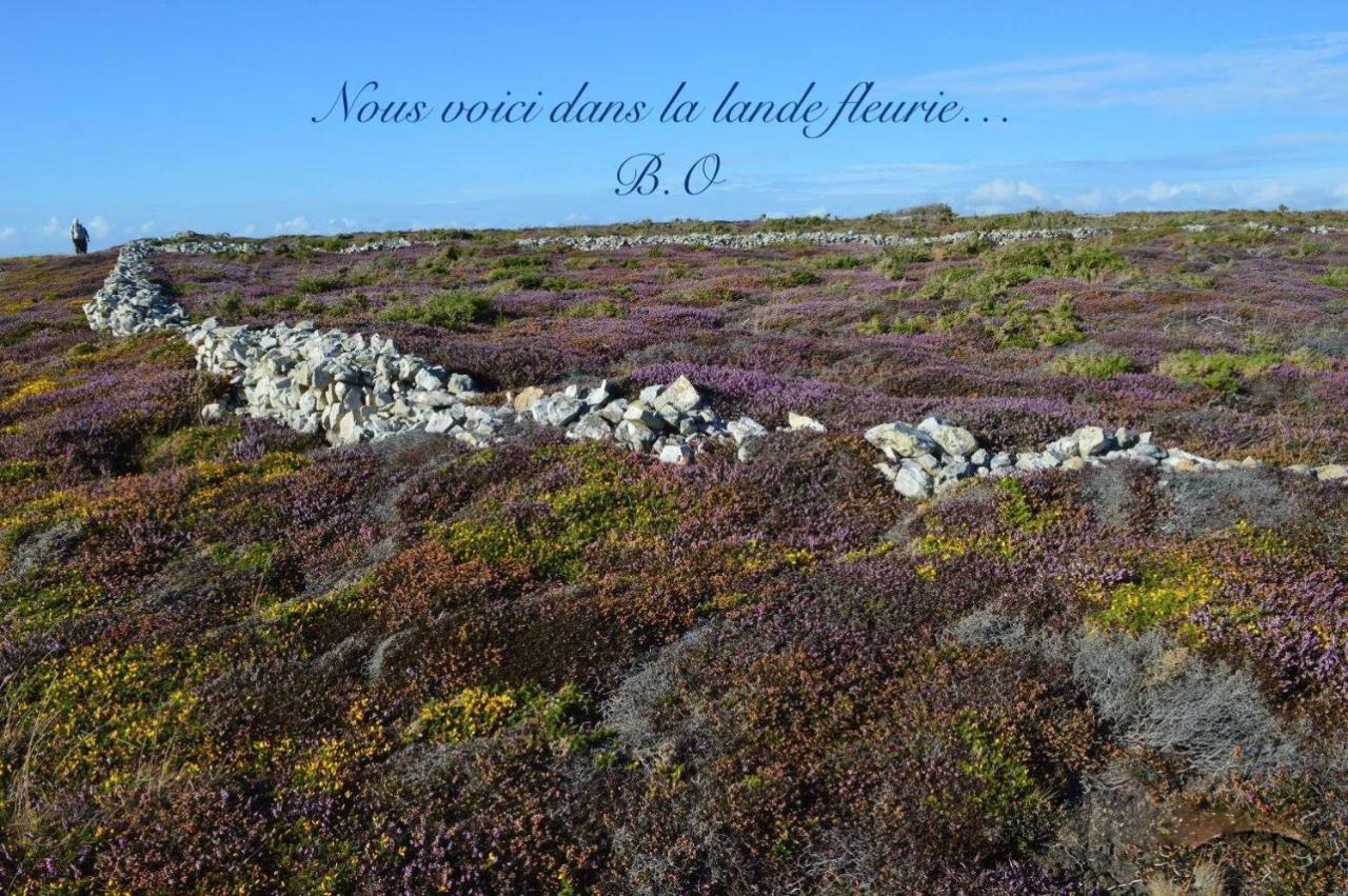Le Clos Des Agapanthes Plogonnec Екстериор снимка